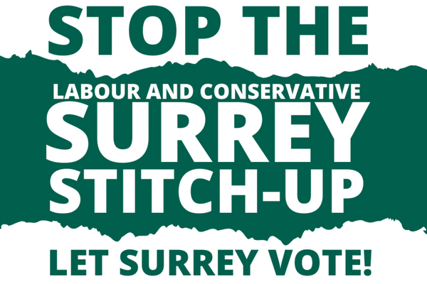 Text reads: Stop the Labour and Conservatives Surrey Stitch-Up. Let Surrey Vote.